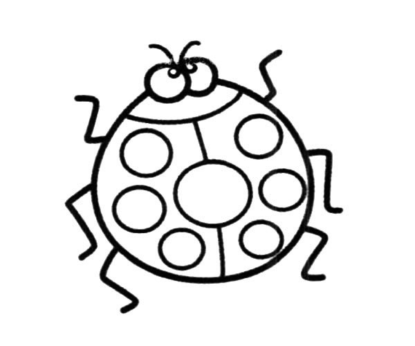 七星瓢虫简笔画 简单又漂亮