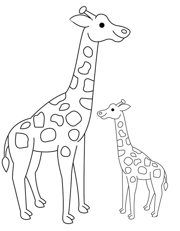 小长颈鹿和长颈鹿妈妈简笔画