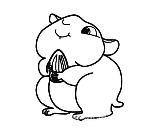 贪吃的仓鼠简笔画图片