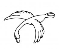 /jianbihua/dongwujianbi/22071.html