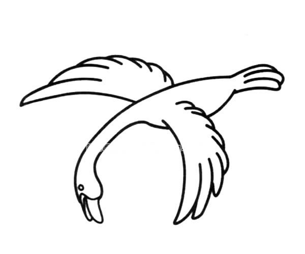 向下俯冲的大雁简笔画图片_大雁的简单画法