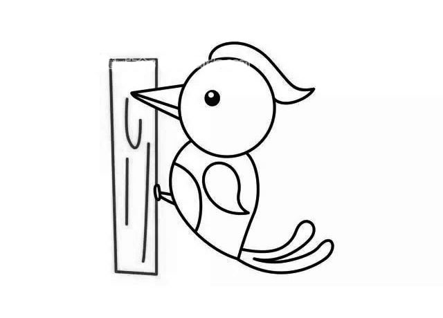 啄木鸟简笔画图片带颜色_啄木鸟的简单画法