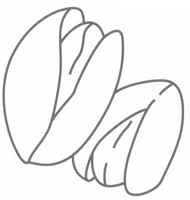 坚果简笔画