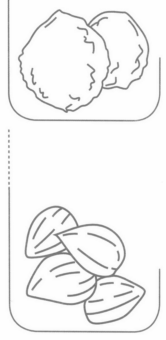 坚果简笔画