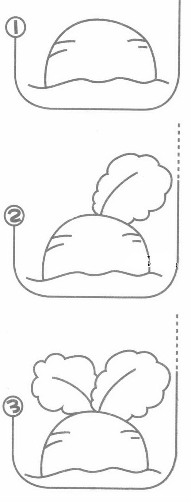 萝卜简笔画