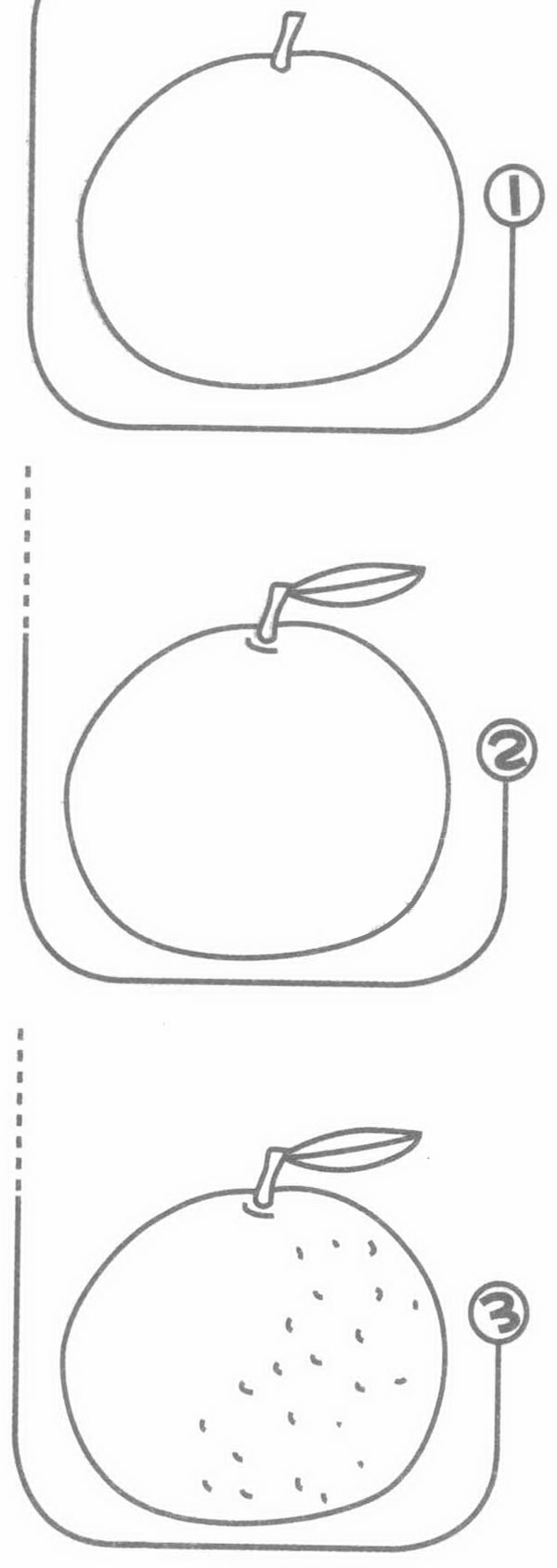 橘子简笔画