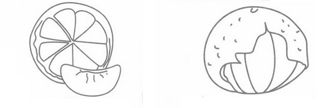 橘子简笔画