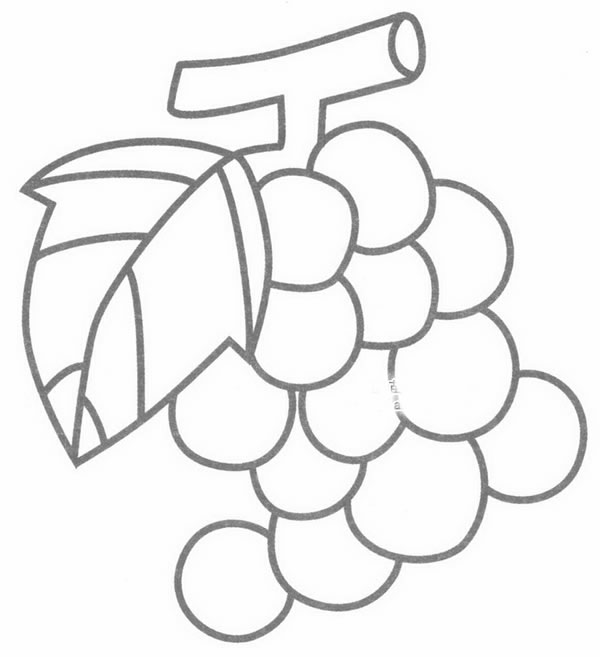 葡萄简笔画