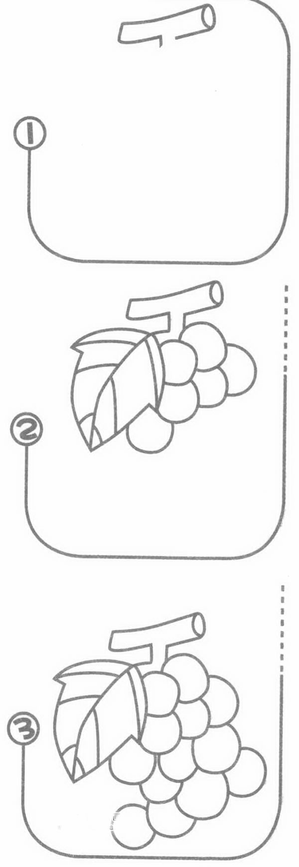 葡萄简笔画