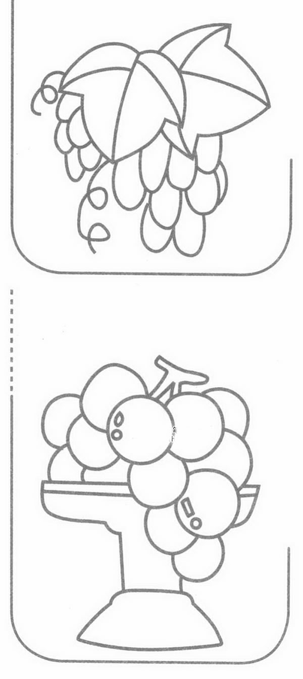 葡萄简笔画