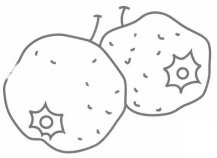 /jianbihua/shenghuojianbi/19584.html