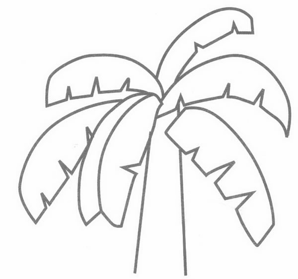 芭蕉简笔画