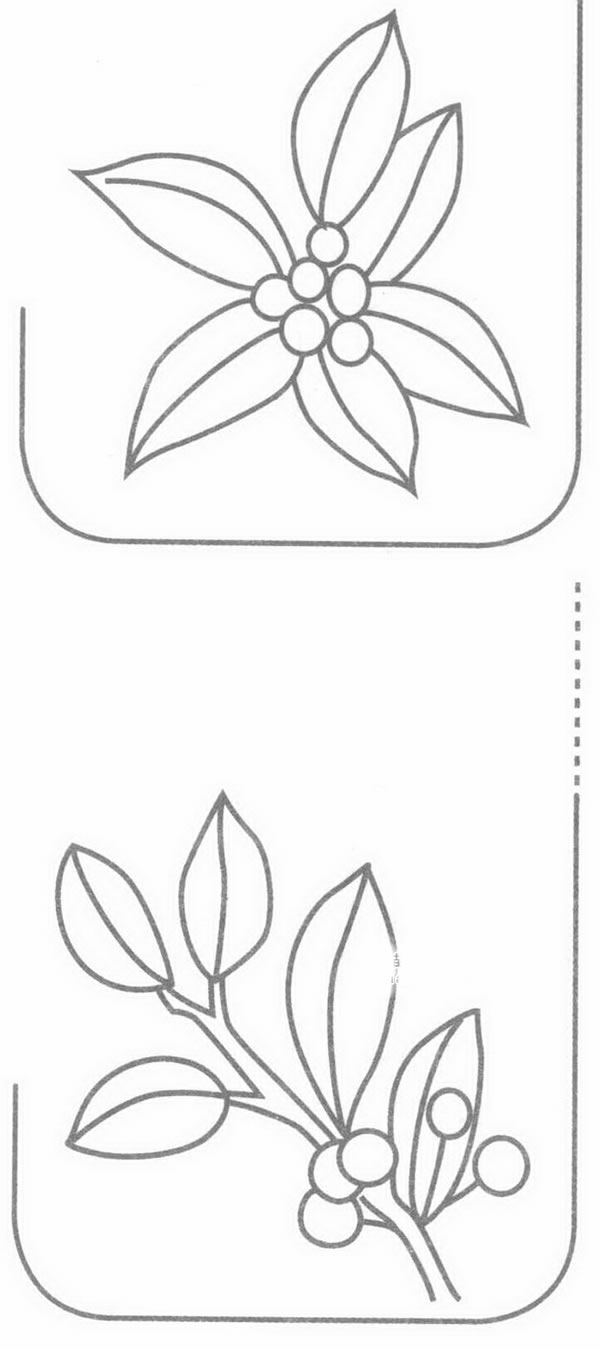 冬青简笔画