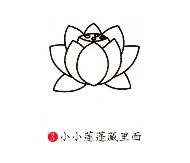 含苞待放的荷花简笔画图片