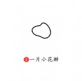 牡丹花简笔画步骤图解