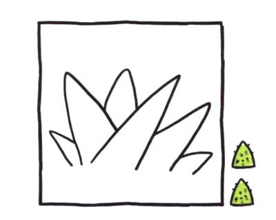 芦荟简笔画图片大全