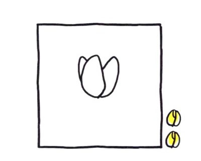 四步画出郁金香简笔画图片