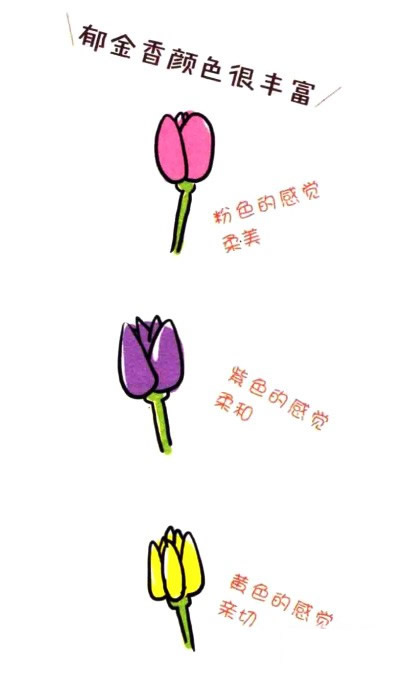 四步画出郁金香简笔画图片