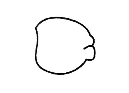 海盗头像简笔画的画法步骤