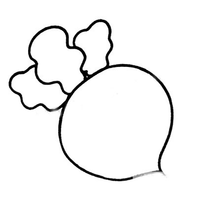 萝卜简笔画图片