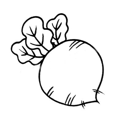 萝卜简笔画图片