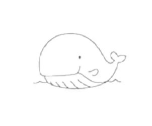 鲸鱼简笔画的步骤