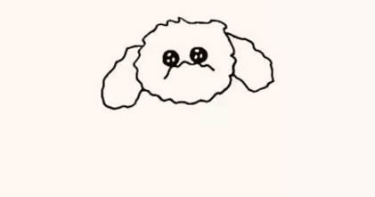 泰迪狗简笔画图片