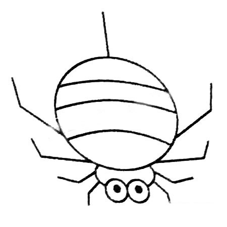 蜘蛛简笔画图片及画法步骤