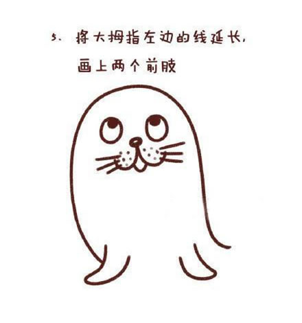 海豹简笔画步骤