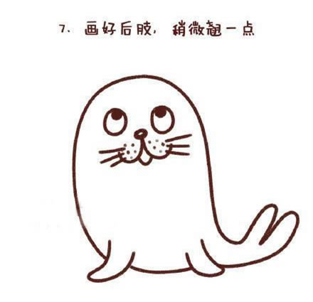 海豹简笔画图片大全