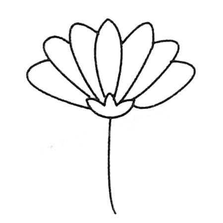 菊花简笔画大全及画法步骤