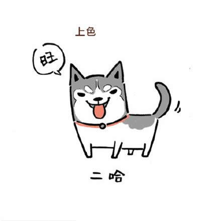 哈士奇简笔画图片