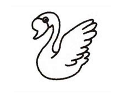 怎么画一只美丽的天鹅