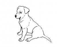 /jianbihua/dongwujianbi/24984.html