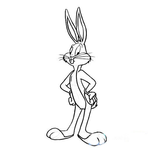 兔八哥简笔画图片