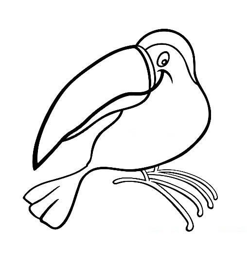 大嘴鸟怎么画，大嘴鸟简笔画画法