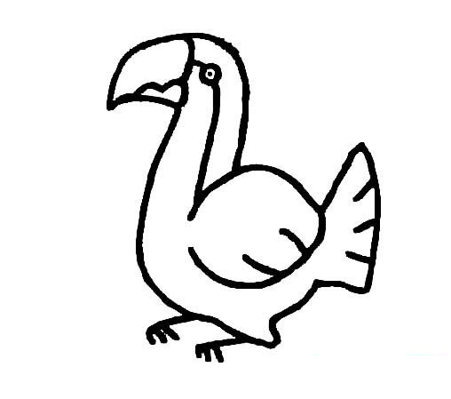 大嘴鸟怎么画，大嘴鸟简笔画画法