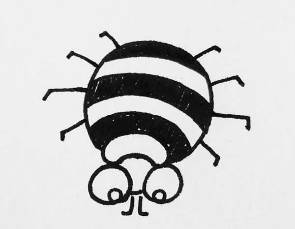 简笔画蜘蛛的画法步骤图解