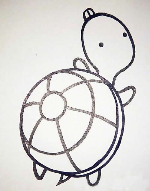 乌龟怎么画简笔画图片