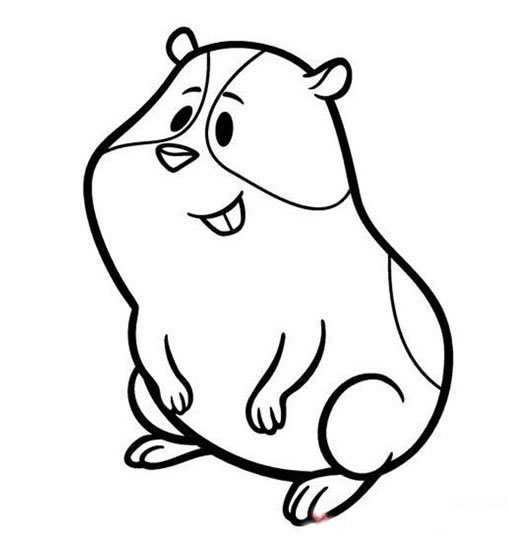 卡通豚鼠简笔画图片