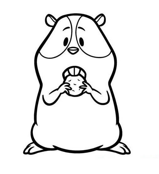 卡通豚鼠简笔画图片