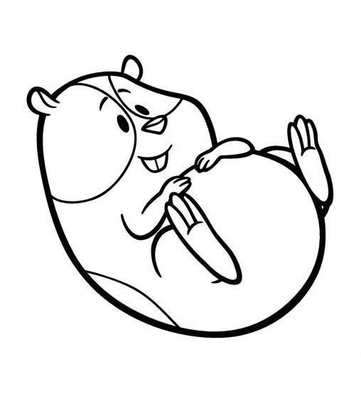 卡通豚鼠简笔画图片