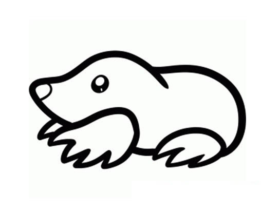 鼹鼠简笔画图片