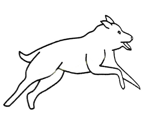 可爱萌物简笔画 小狗简笔画