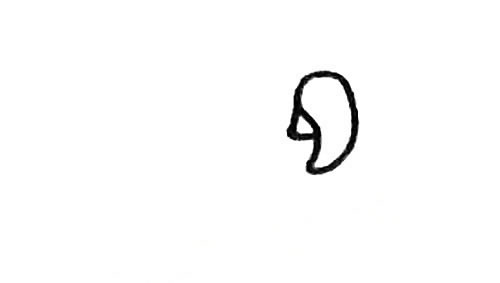 鹦鹉怎么画简笔画步骤图片