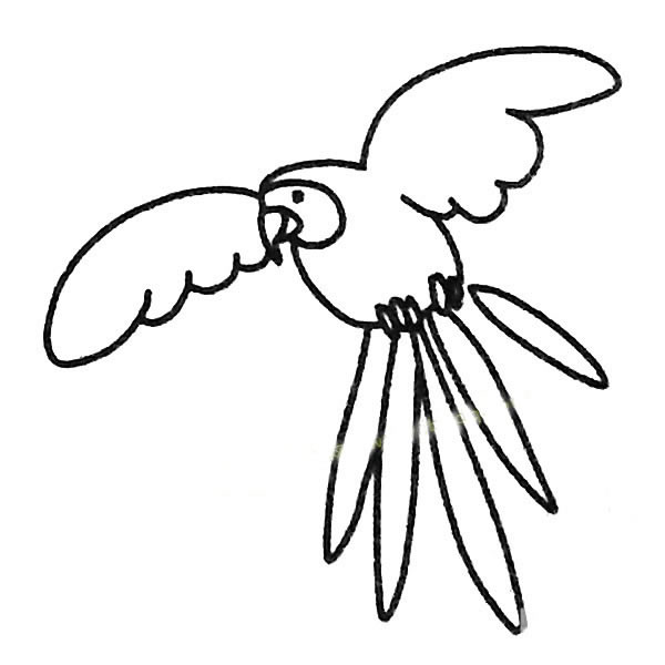 鹦鹉简笔画图片