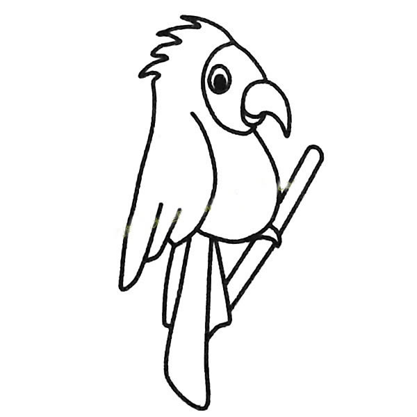 鹦鹉简笔画图片