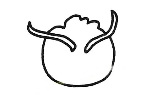 猫头鹰的画法简笔画步骤教程