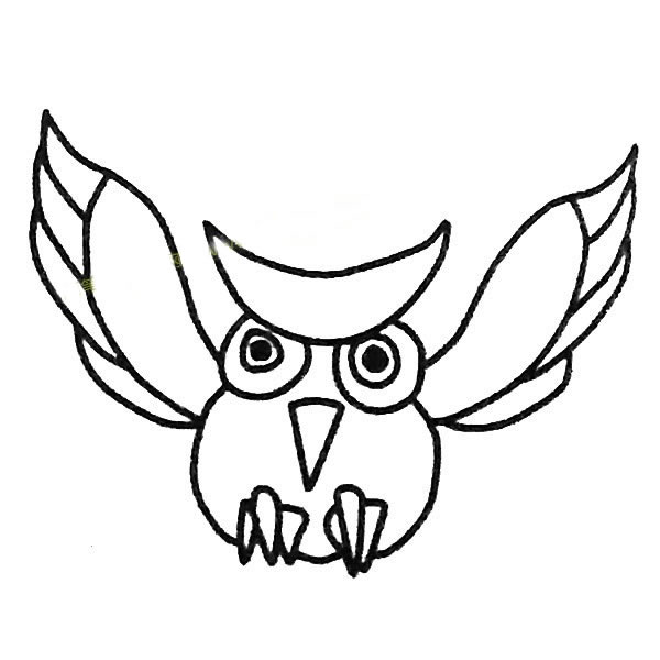猫头鹰简笔画图片
