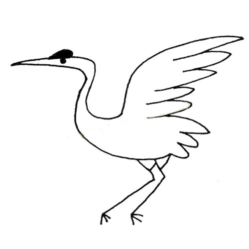 一组丹顶鹤简笔画图片